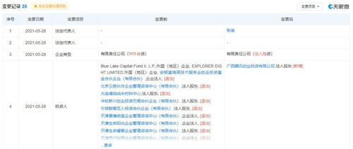 廣告剩余軟件開發 實現高效廣告投放與優化