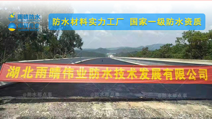 PBL改性瀝青高聚物防水涂料 梁子湖PB-1改進(jìn)型橋面防水涂料底價(jià)供貨